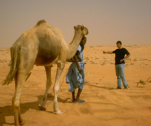 Dromadaire-stop dans le Sahara 06. Traversée Sahara