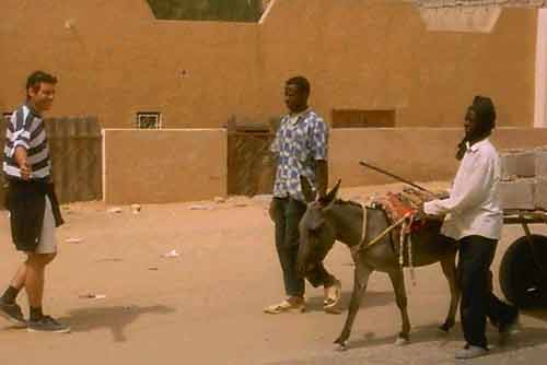 Ane-stop en Mauritanie 09. Ane-stop en Mauritanie