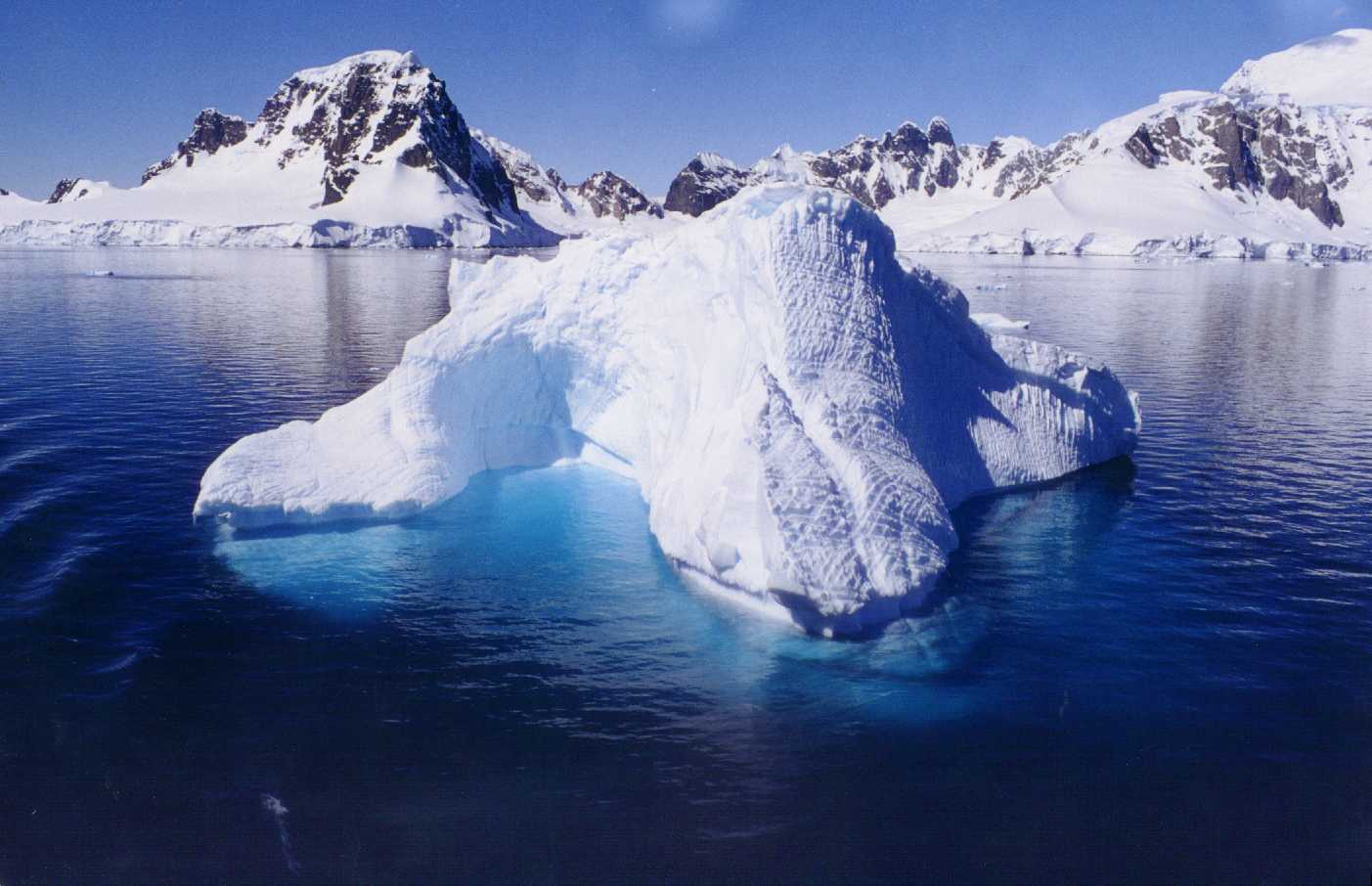 Antarctique 53. Antarctique 4