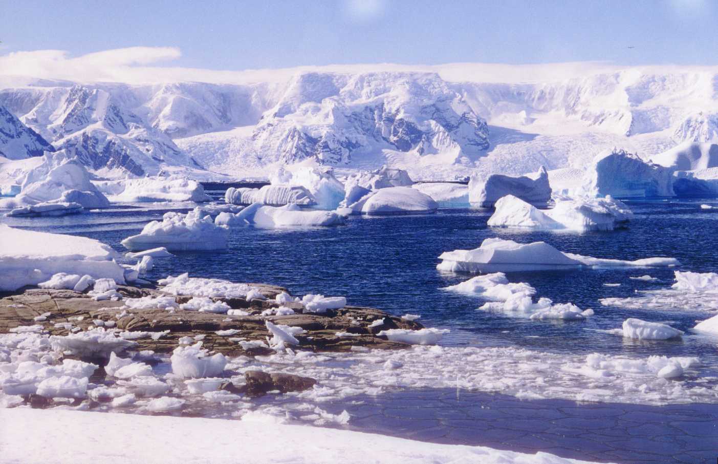 Antarctique 54. Antarctique 5