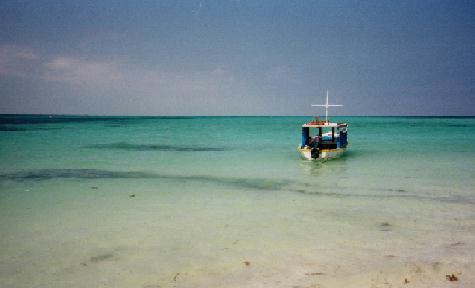 88. Côte Caraibes Mexicaine
