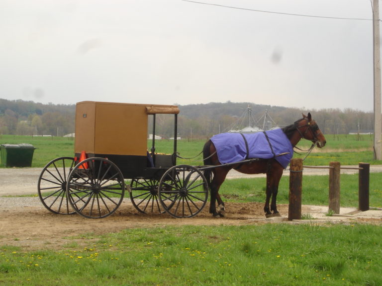 Article #164 Tdm : Journée en communauté Amish
