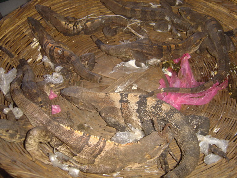 Article #128 : Un repas des plus exotiques