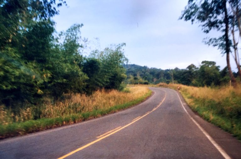 Article #69 Tdm : 2500 kms d’auto-stop au Brésil