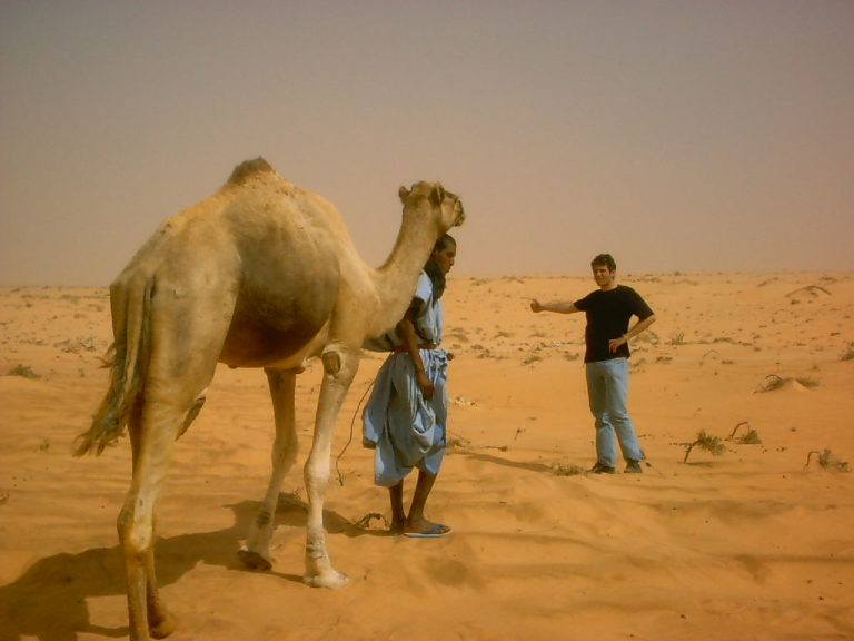 Article #10 Tdm : Le Sahara est traversé