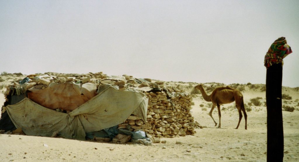 Article #1 Tdm : Visa Mauritanien