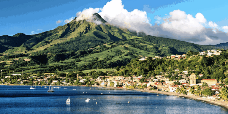 Synthèse voyage Martinique