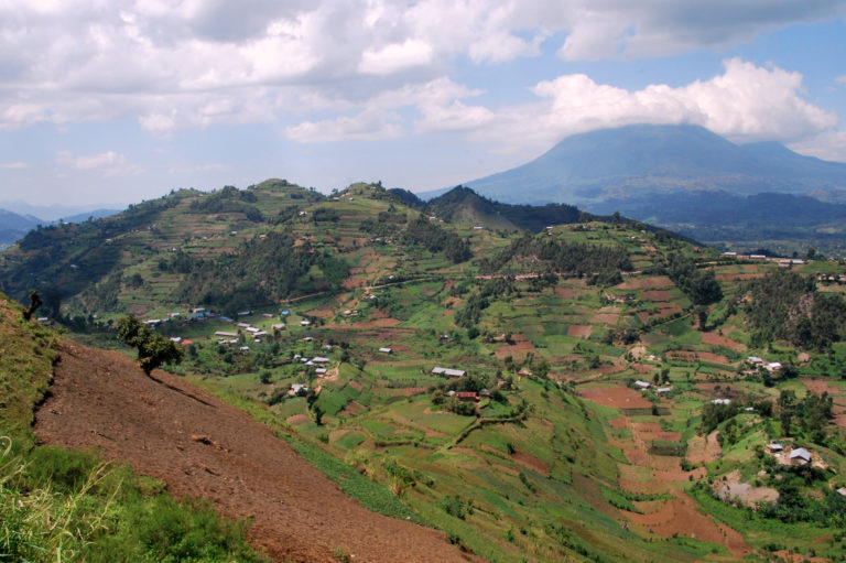 Synthèse de mon passage au Rwanda