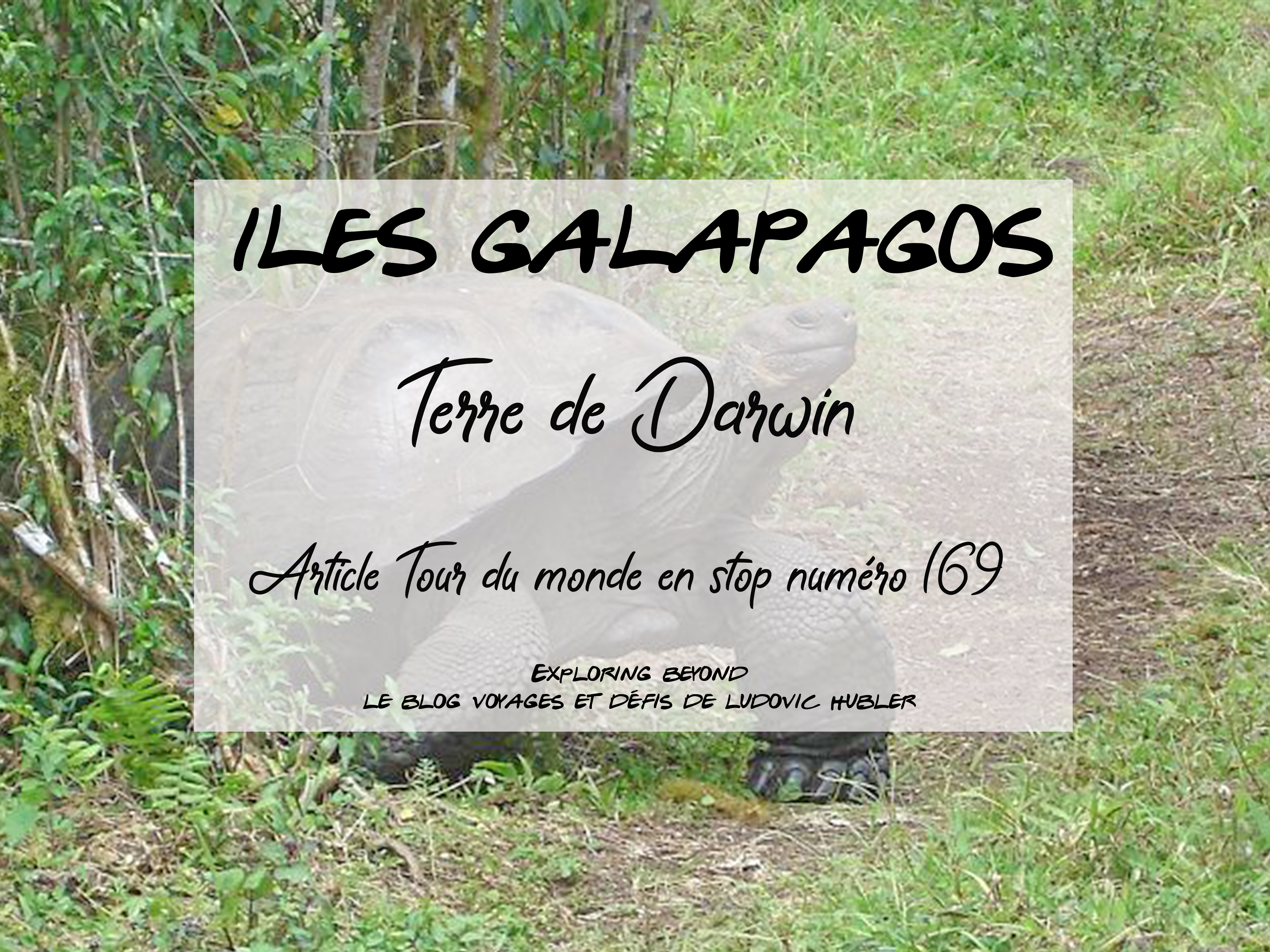 Article #169 Tdm : Iles Galapagos, terre de Darwin