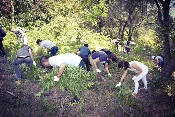 Team building solidaire organisé par TWAM